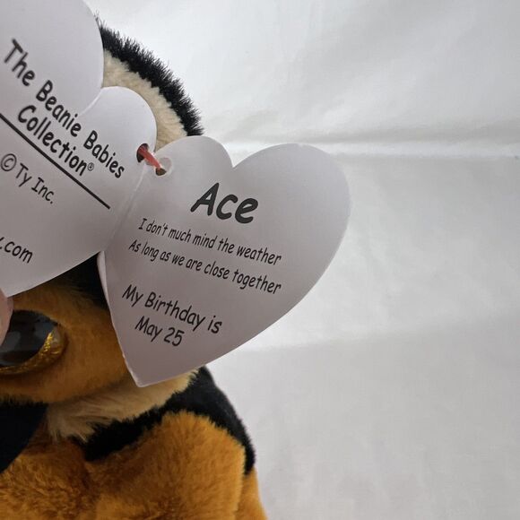 Ty - Beanie Babies - ACE the Dog - NWT - Beanies - DOB May 25 - 2021 - Shephard - Picture 4 of 9